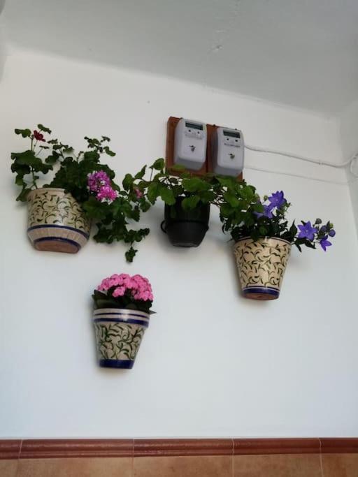 La Casita Villa Кортес де ла Фронтера Екстериор снимка